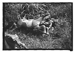 [Twenty-Two 35mm Film Frames on Uncut Roll: 21 Studies of Dismounted Carousel Horses in Field, and 1 View of Parked Automobile in Front of Roadside Building], Walker Evans (American, St. Louis, Missouri 1903–1975 New Haven, Connecticut), Film negative
