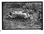 [Twenty-Two 35mm Film Frames on Uncut Roll: 21 Studies of Dismounted Carousel Horses in Field, and 1 View of Parked Automobile in Front of Roadside Building], Walker Evans (American, St. Louis, Missouri 1903–1975 New Haven, Connecticut), Film negative