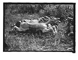 [Twenty-Two 35mm Film Frames on Uncut Roll: 21 Studies of Dismounted Carousel Horses in Field, and 1 View of Parked Automobile in Front of Roadside Building], Walker Evans (American, St. Louis, Missouri 1903–1975 New Haven, Connecticut), Film negative