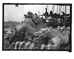 [Twenty-Two 35mm Film Frames on Uncut Roll: 21 Studies of Dismounted Carousel Horses in Field, and 1 View of Parked Automobile in Front of Roadside Building], Walker Evans (American, St. Louis, Missouri 1903–1975 New Haven, Connecticut), Film negative