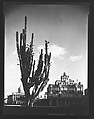 [View of Palacio Presidencial and Casa de Velasco with Cactus in Foreground, Cuba], Walker Evans  American, Film negative
