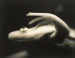 Untitled (Albino Frog Facing Left), Helen Rousakis  American, Instant dye diffusion transfer print (Polaroid)