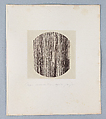 [Untitled], Auguste-Adolphe Bertsch  French, Salted paper print