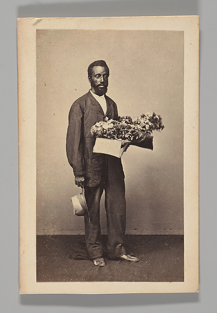 [Studio Portrait: Male Street Vendor Holding Box of Flowers, Brazil]