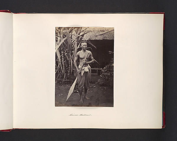 Siamese Boatman