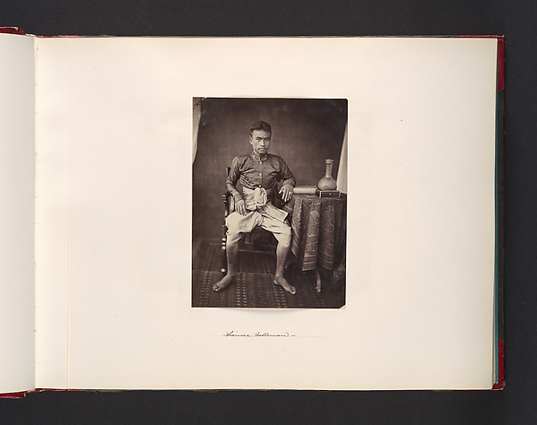 Siamese Nobleman