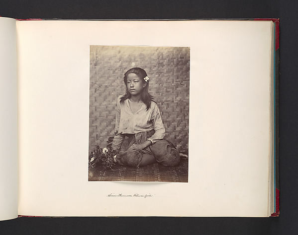 Siam - Burmese Flower Girl