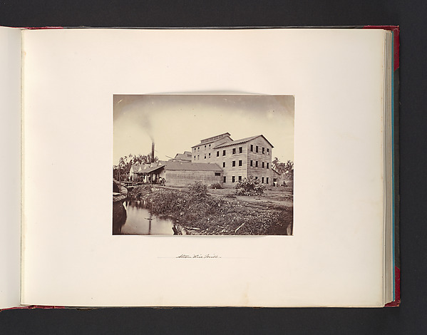 Steam Rice Mill
