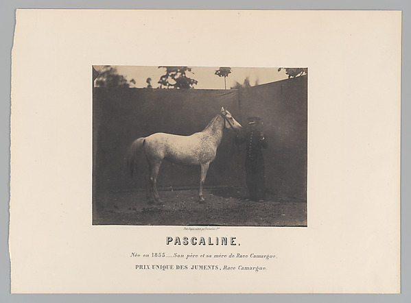 Pascaline