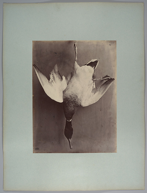 [Water fowl] by Longjumeau's Amateur, The Metropolitan Museum of Art