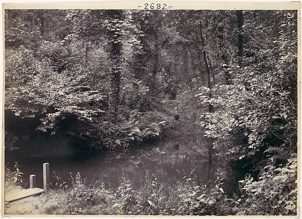 Colwyn Bay. The Pool in the Wood