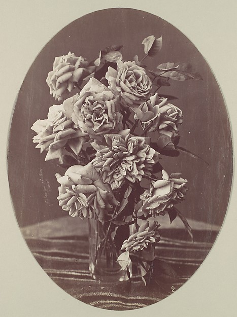 [Roses]