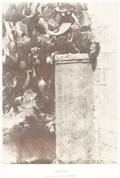 Jérusalem, Colonne de la Porte judiciaire