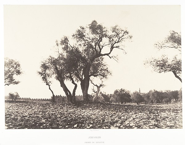 Jérusalem, Chemin de Naplouse