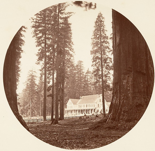 W. C. Bryant - Calaveras Grove by Carleton E. Watkins, The Metropolitan Museum of Art