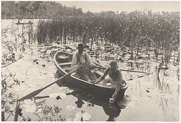 Gathering Water-Lilies
