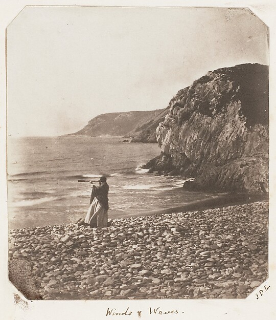 Winds & Waves