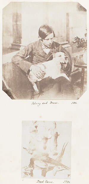 Johnny and Drum; Dead Game