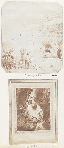 Caswell Garden; Geneviève