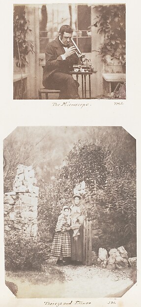 The Microscope; Thereza and Elinor