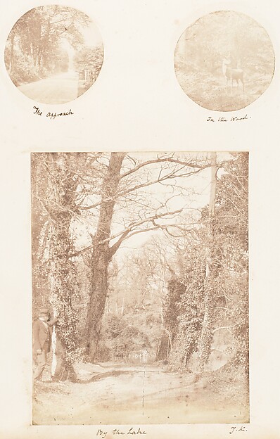 The Approach; In the Wood; By the Lake