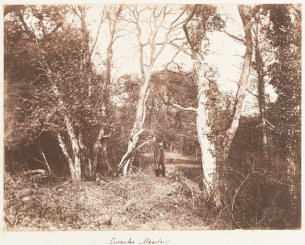 Cureuleo Meadow