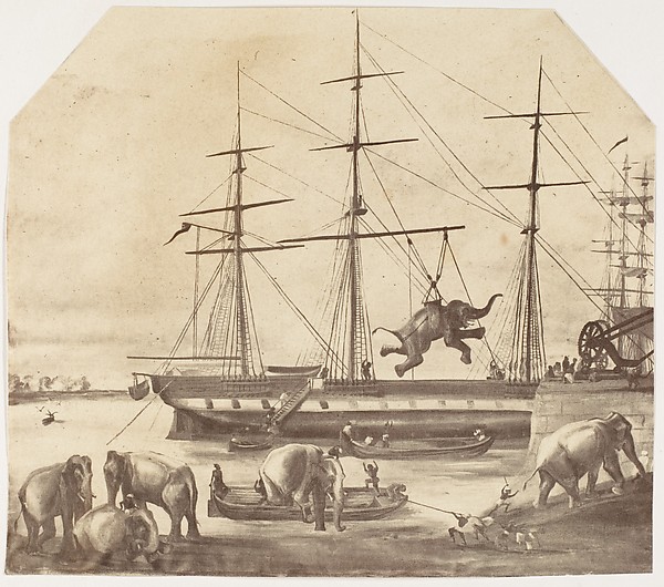 [A Cargo of Seventy Elephants Landing from Burmah during the 1857 Mutiny]