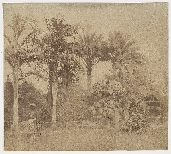 [Gardens, Government House, Allahabad]