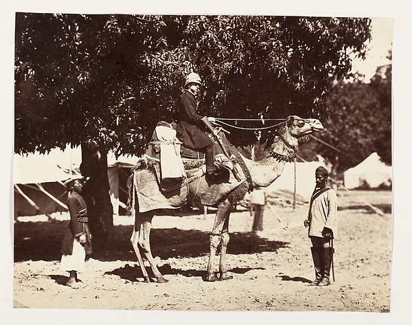 [J.C.S. on a Riding Camel]