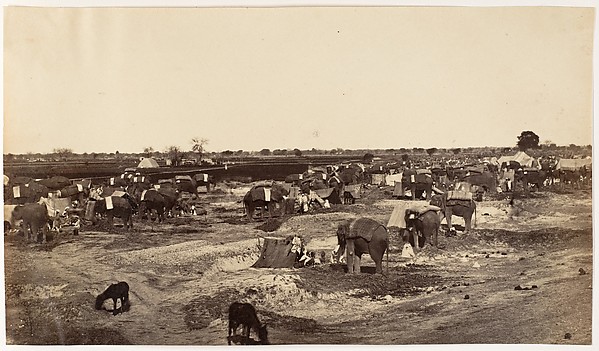 [Hatti Kana-The Elephant Camp]