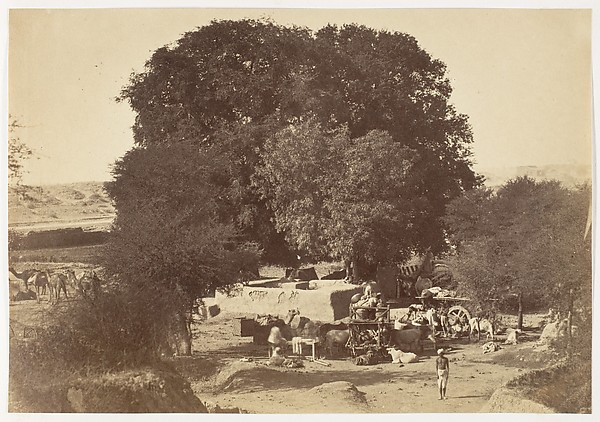 [Bhowlie- A Well in the Punjab]