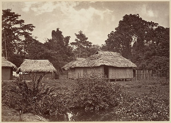 Tropical Scenery, Turbo Village