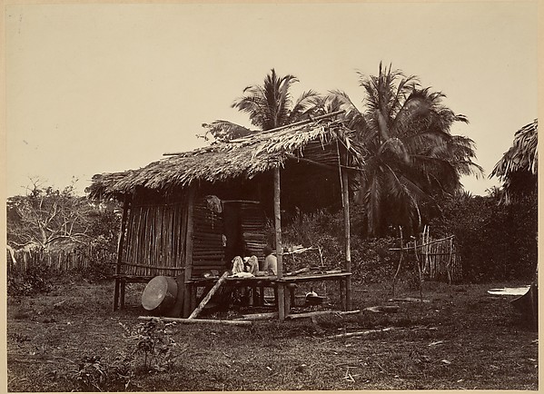 Tropical Scenery, Native Hut, Turbo