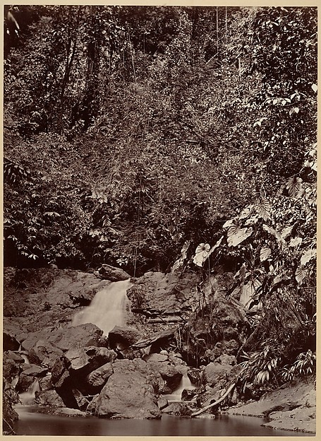 Tropical Scenery, Cascade, Limon River
