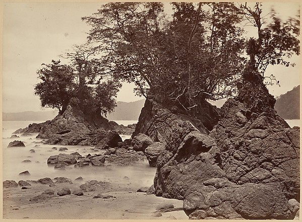 Tropical Scenery, Limon Bay - Low Tide