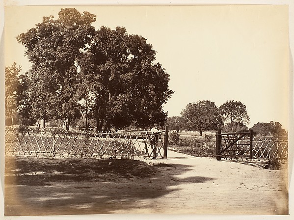 [View of Garden]
