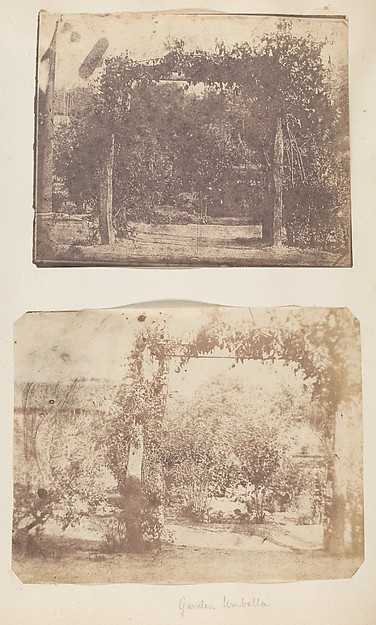 [Garden at Umballa]
