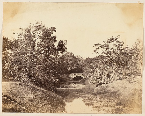 [Botanical Gardens, Calcutta]