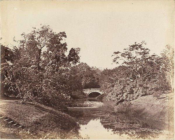 [Botanical Gardens, Calcutta]