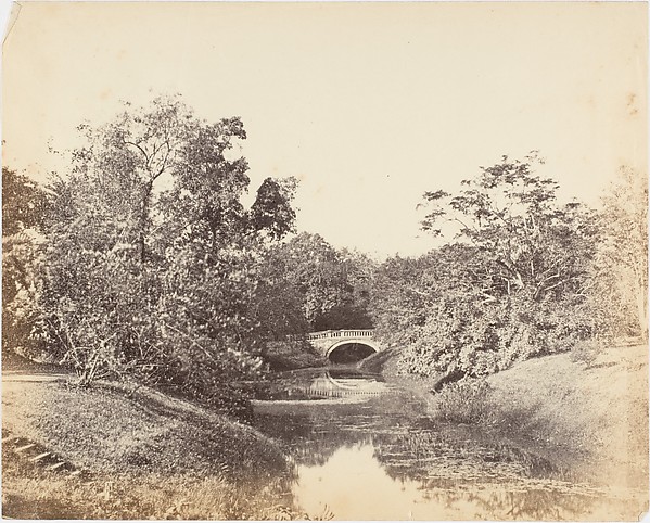 [Botanical Gardens, Calcutta]