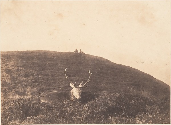 [Hunters Stalking a Deer]