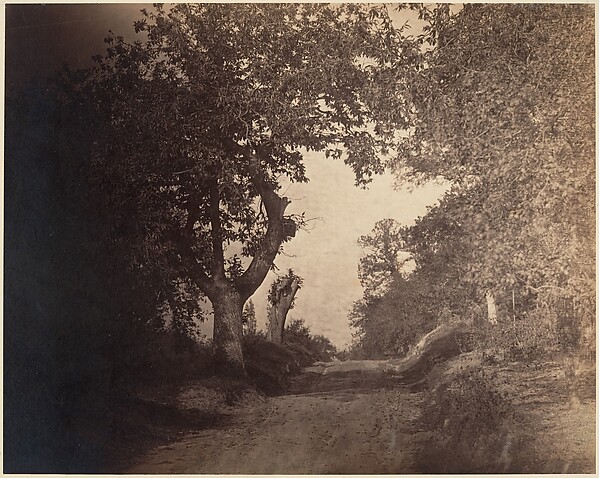 Fontainebleau, chemin sablonneux montant
