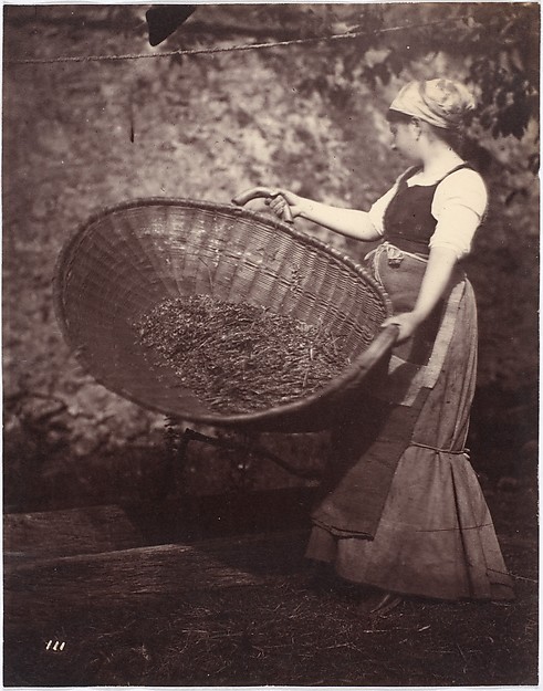 [Peasant Woman with Winnowing Basket]