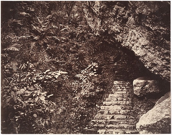 [Path to Fangguangyan Monastery, Fujian]