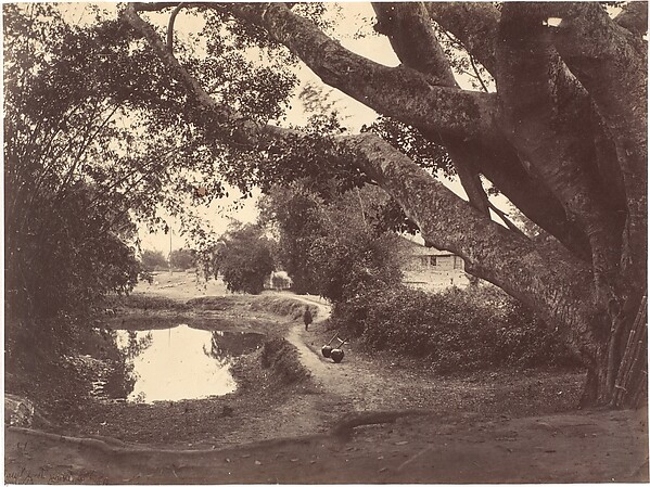 Village Road North River