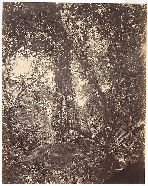View in Camoens Garden Macao