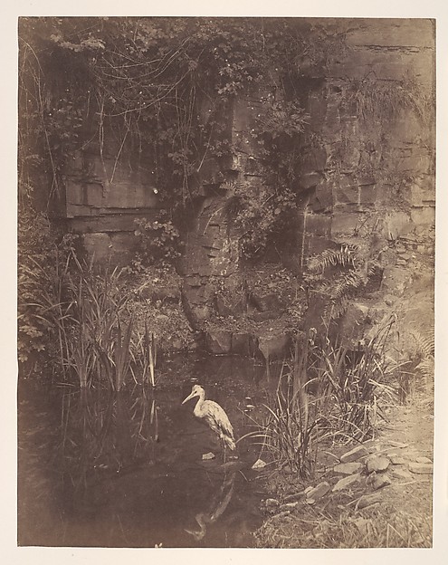 Piscator, No. 2