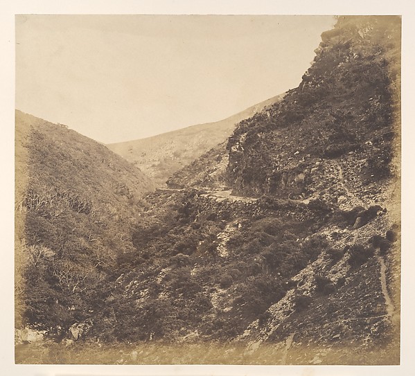 On the Road to Watersmeet, near Lynton, North Devon