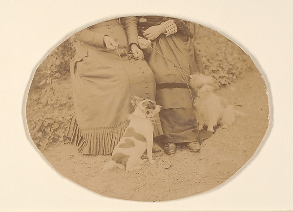 Les Chiens