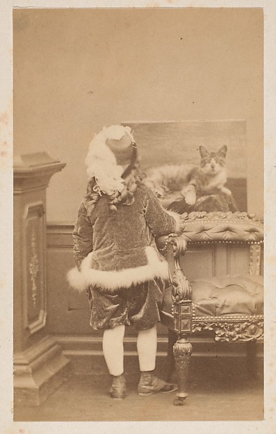La veste de cygne